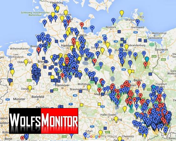 Karte: Bekannte Fälle illegal getöteter Wölfe in Deutschland – Wolfsmonitor