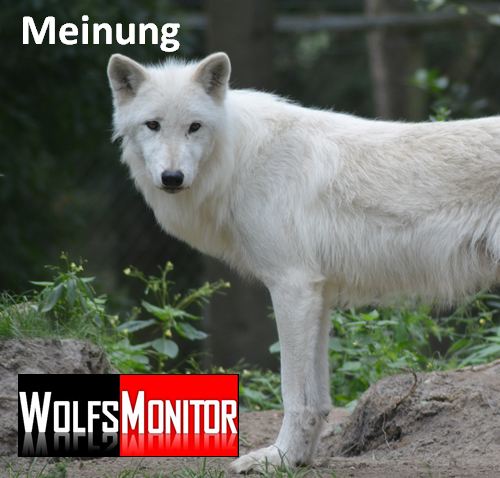 wolfsmonitor.de